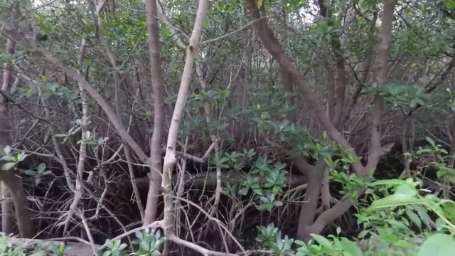 О програме Work And Travel USA! Участвовать может каждый! Как студенту провести лето в США?