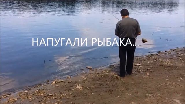 Сухопутная черепаха. Отдых на берегу реки Оки вместе с Пышкой. Часть I смотреть онлайн