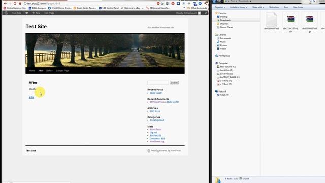 Backup & Restore your Wordpress Database php mysql albuquereque website design company.avi смотреть онлайн