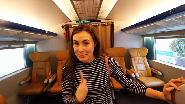FASTEST TRAIN in the world (2019)! Shanghai Maglev 431km/h! смотреть онлайн