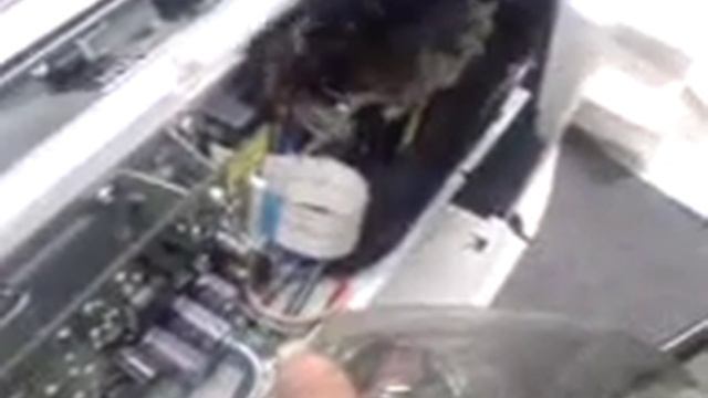 В Вашем принтере...мышь повесилась1 смотреть онлайн