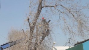 Спил деревьев с автовышки