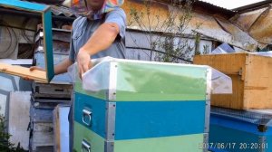 Как скормить пчёлам прошлогодний мёд в рамках