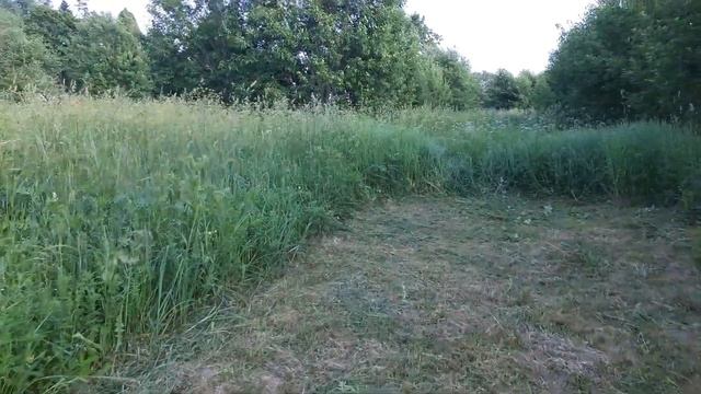 Бензиновая газонокосилка Champion LMH5640