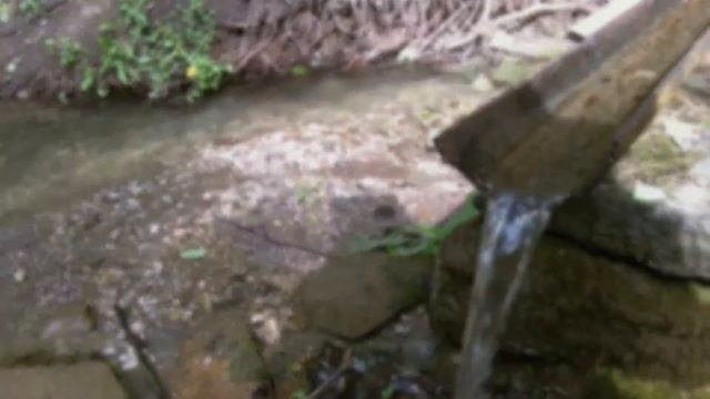 Родник у "Чёрного дерева" смотреть онлайн