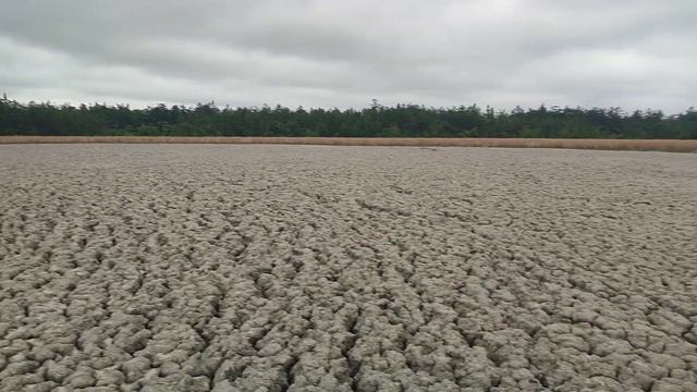 Поход на Пугачёвский грязевой вулкан. 26.07.23 смотреть онлайн