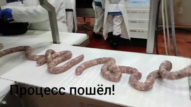 Производство купат и колбасок на предприятии Агрохолдинга "Охотно" смотреть онлайн