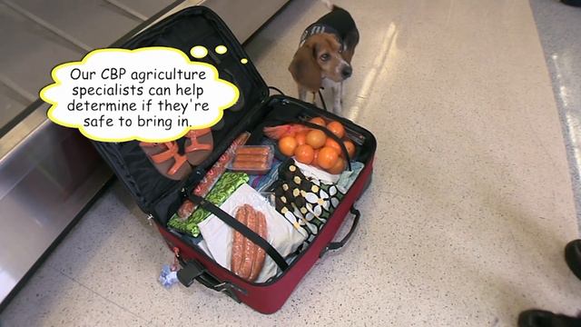 2019 Florida Agricultural Hall Of Fame Honoree, Richard Gaskalla