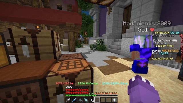 The Simplest Money Making Methods! *DO NOW!* (Hypixel Skyblock) смотреть онлайн