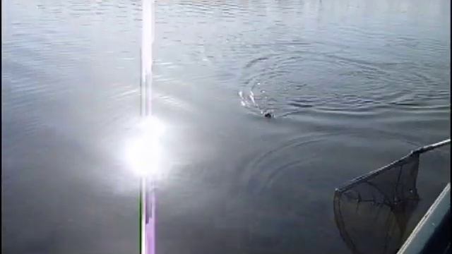 Ловля Щуки на раскатах Волги, весна.avi смотреть онлайн