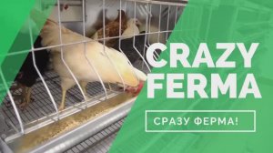Такой клетки на рынке еще не было! Клетка для кур-несушек «Multipro» от CrazyFerma.