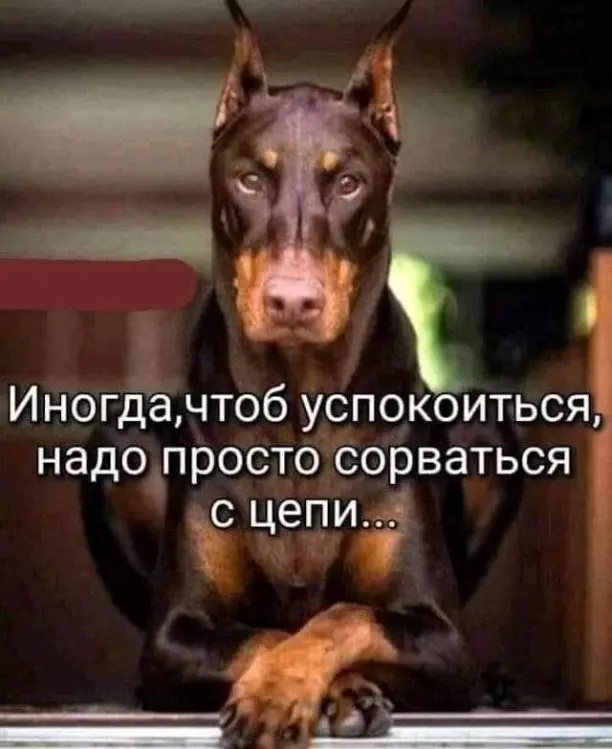перед работой 11.08 1 смотреть онлайн