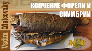 Копчение форели и скумбрии. Рецепт. Мальковский Вадим