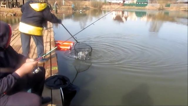 платная рыбалка в ПИРОГОВО - Коргашино смотреть онлайн