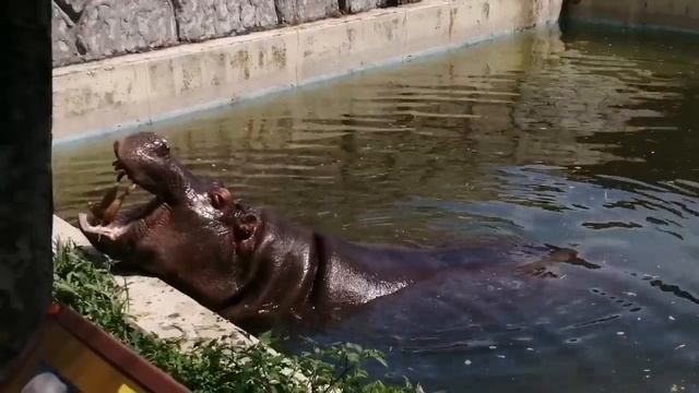 爆連発だだだ雑学 смотреть онлайн