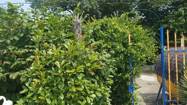 Ждет на отдых автокемпинг "Астра" в поселке Аше, Лазаревское! Море через дорогу. 09.08.2021 смотреть онлайн