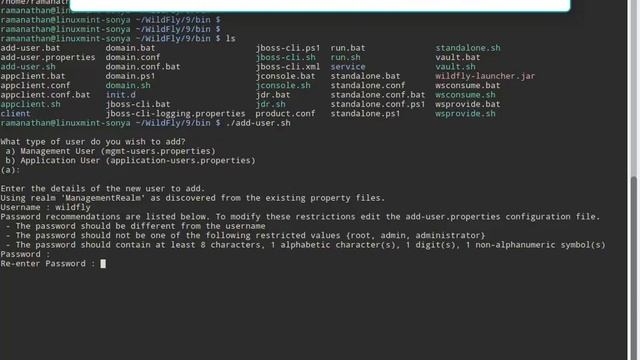 WildFly 9.0.2 Installation in Linux Mint 18 with Oracle JDK 7 (Java 7) смотреть онлайн