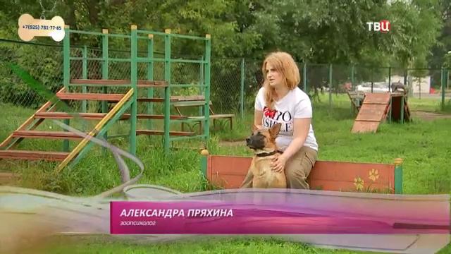 Захар смотреть онлайн