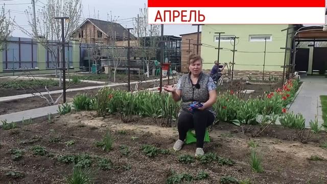 3 важных подкормки для клубники: в 3 раза больше урожая и ягода будет крупной смотреть онлайн