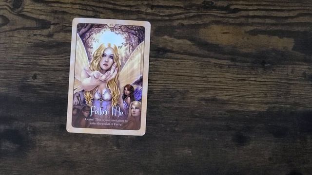 WILD WISDOM OF THE FAERY Oracle Unboxing & Flip Through in 4K смотреть онлайн