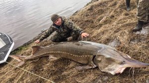 Браконьеры. Какие снасти запрещены в России. Какую рыбу нельзя ловить. Штрафы | Факты