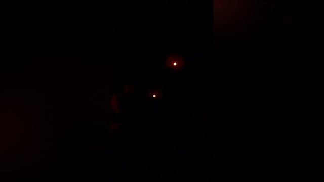 Ночное богослужение. смотреть онлайн