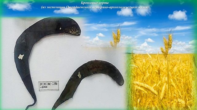 Бронзовые серпы из коллекции Отрадненского музея смотреть онлайн