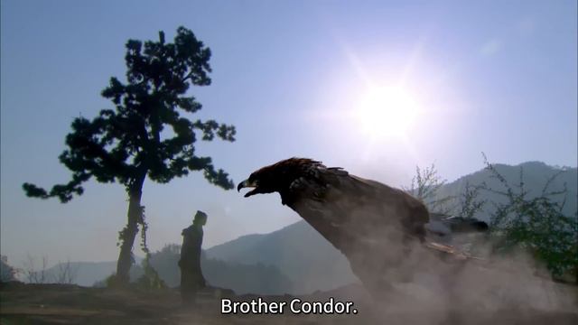 【ENG SUB】《新神雕侠侣 The Romance of the Condor Heroes》第34集 | 陈妍希、陈晓、毛晓彤、张馨予