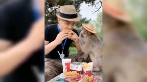 Смешные обезьяны | Приколы с обезьянами | До слез посмеяться.