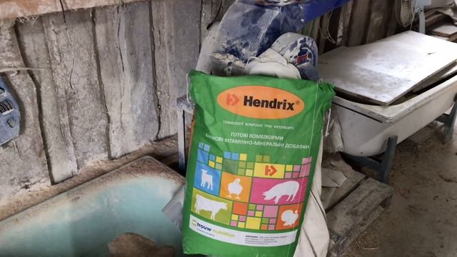 СУПЕР СТАРТ ДЛЯ ПОРОСЯТ, РАЦИОН КОМБИКОРМА//НА НЕМ РОСТУТ ПРЕВОСХОДНО смотреть онлайн