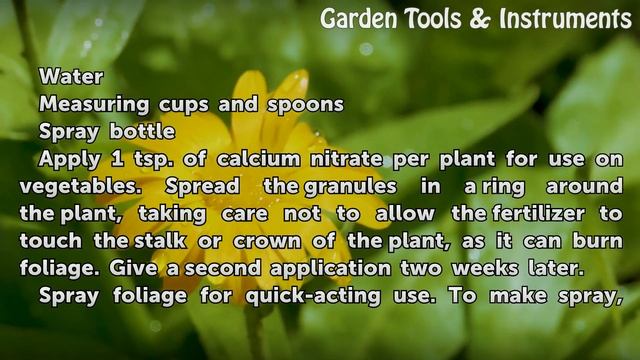 How to Fertilize With Calcium Nitrate смотреть онлайн