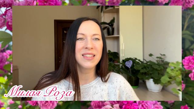 Розы. Эстафета блогеров, передаю дальше! смотреть онлайн