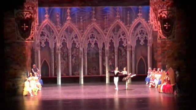 Чёрное адажио из балета Лебединое озеро. Swan lake. смотреть онлайн