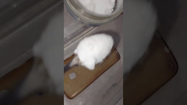 как почистить прозрачный чехол. результат в следующем видео смотреть онлайн