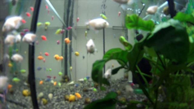 Внутреннее пространство. смотреть онлайн