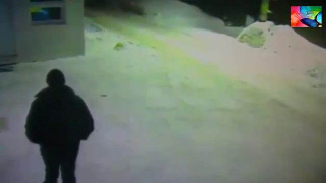Прикол кошки не дают скучать на посту смотреть онлайн