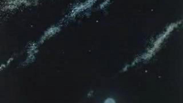 Здесь могут водиться тигры - Here there be tygers смотреть онлайн