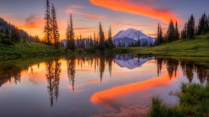 Истории из жизни аглые родственники постоянно едут к нам без приглашения Жизненные истории  рассказ