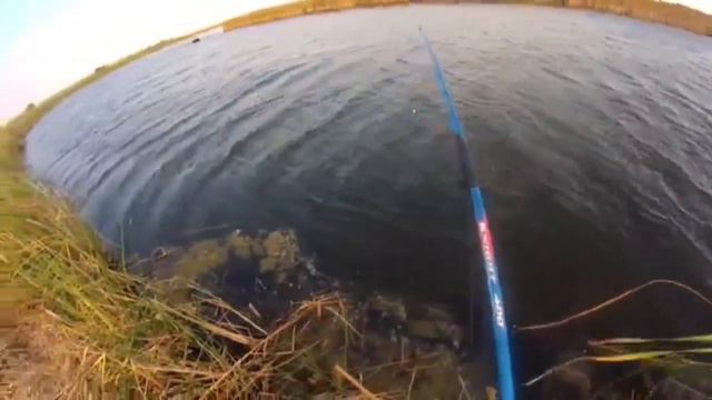 ЛИНЬ,КАРАСЬ,ЛЕЩ/Отличная рыбалка на Ишиме #рыбалка  #рыбалка #fishingvideo  Fishing On Ishime