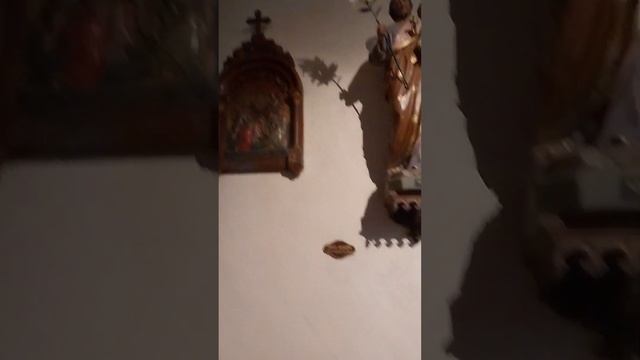 Frankrike, Франция (1) смотреть онлайн
