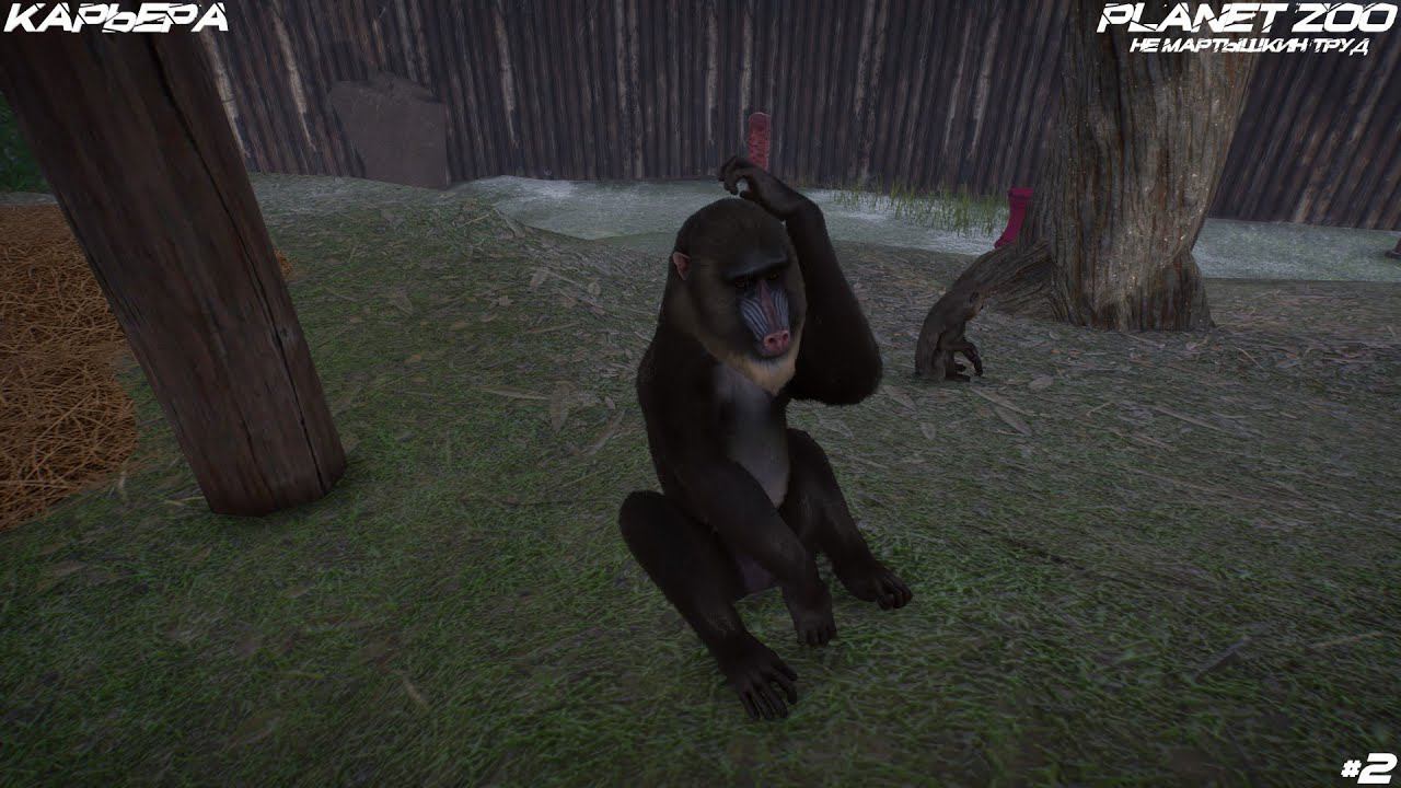 Planet Zoo Deluxe Edition - Карьера - Не мартышкин труд - #2 смотреть онлайн