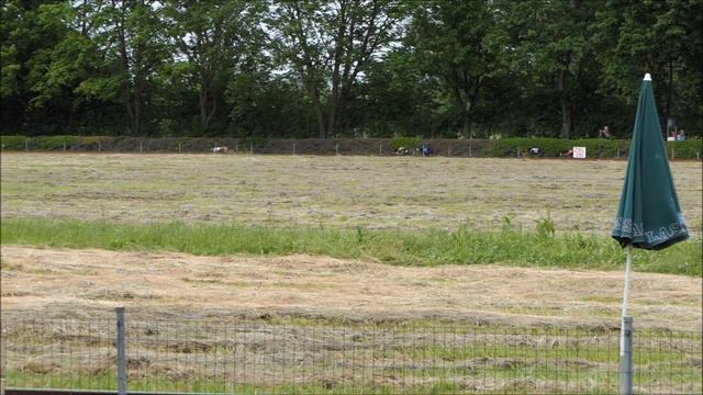 Bundessiegerrennen 2021 Freiburg - Finale Greyhound Rüden 480m смотреть онлайн