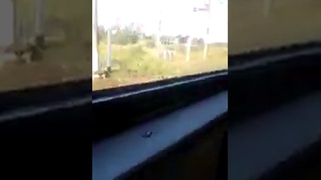 Прибытие на станцию Волховстрой-1 на электропоезде ЭТ2М смотреть онлайн