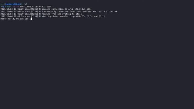 Create encrypted reverse shells with Socat смотреть онлайн