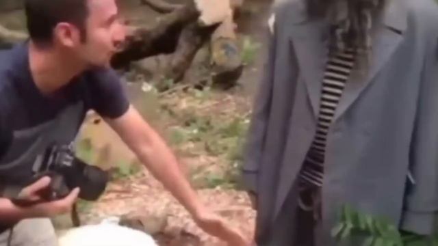 бомж попал в кадр с грибом? смотреть онлайн