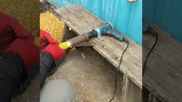 Приспособление для лущения кукурузы!!! смотреть онлайн