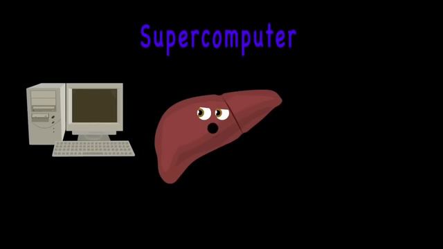 Organs of the Human Body Songs | Anatomy Education Songs смотреть онлайн