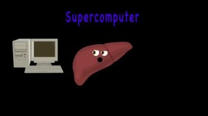 Organs of the Human Body Songs  | Anatomy Education Songs