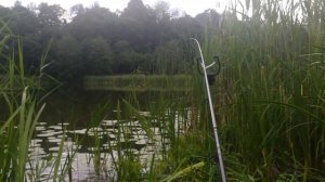 Фидерная поклевка!))))