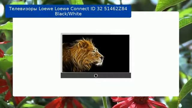 Телевизоры Loewe Loewe Connect ID 32 51462Z84 Black/White обзор и отзыв